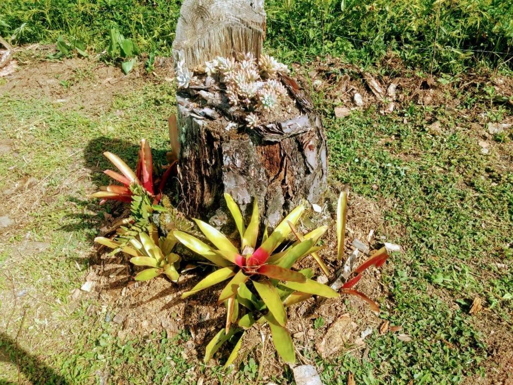 Chale Vale Das Flores - Visconde De Maua Rj Dış mekan fotoğraf