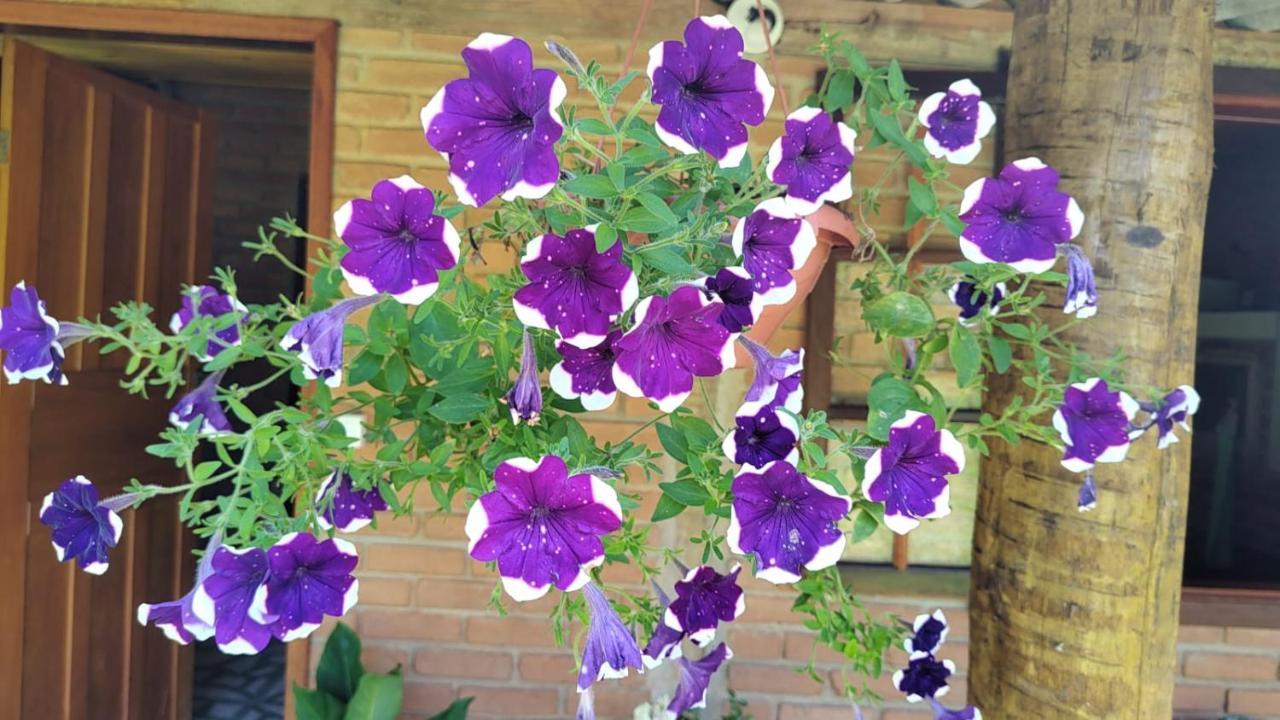 Chale Vale Das Flores - Visconde De Maua Rj Dış mekan fotoğraf